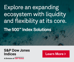 The 500 Index Solutions