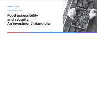 Food accessibility and security: An investment intangible
