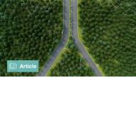 Defining Paths with options-based Index Strategies