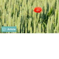 Heroes in Haystacks : Index Comparisons for Active Portfolio Performance