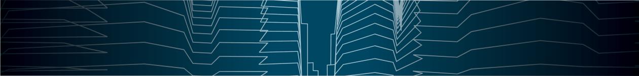 Public Investment Corporation