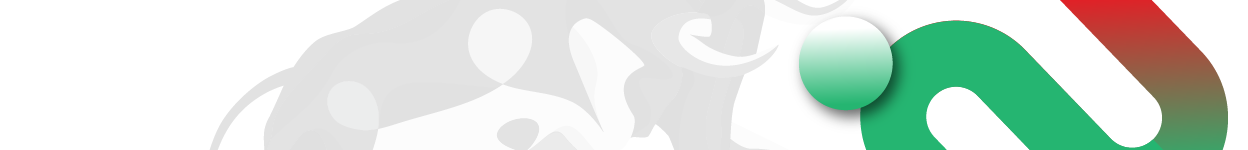 Momentum Securities