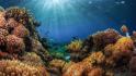Get a Holistic Lens on Sustainability