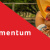 Momentum Wealth