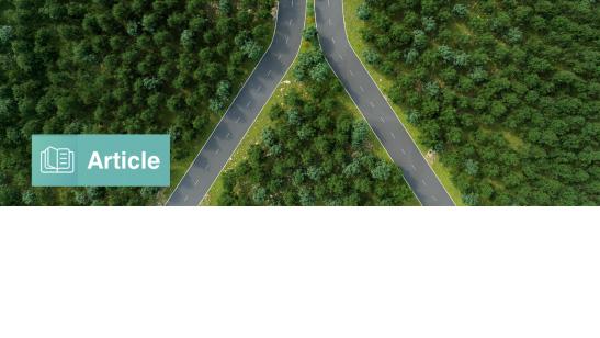 Defining Paths with options-based Index Strategies