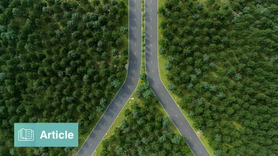 Defining Paths with Options-Based Index Strategies