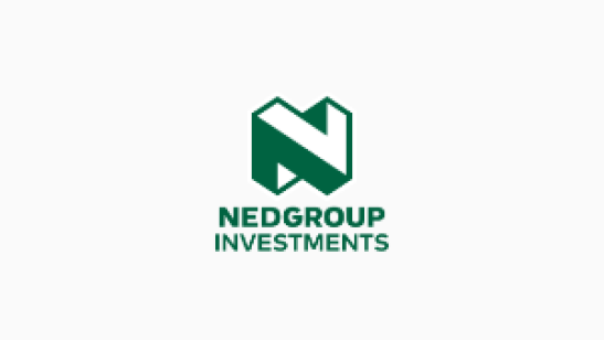 Nedgroup Investments
