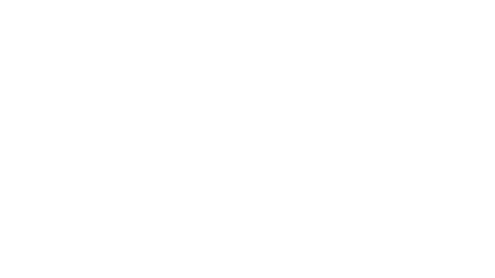 Public Investment Corporation