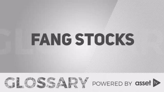 Glossary - Fang Stocks