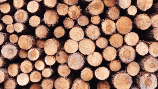 Measuring the Global Timber and Forestry Opportunity Set