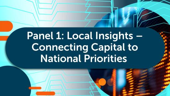 PIC Perspectives I G20 Dialogues - Panel 1 - Local Insights - Connecting Capital to National Priorities