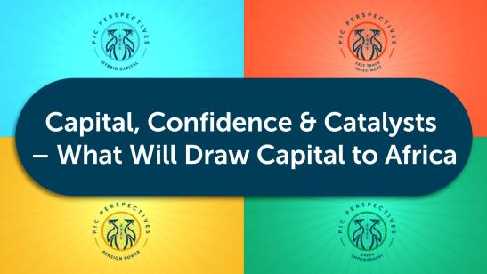 PIC Perspectives: G20 Dialogues I High-Level Panel Discussion - Capital, Confidence and Catalysts - What will draw Capital to Africa