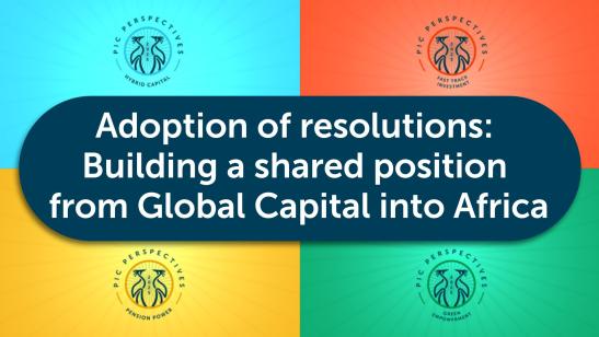 PIC Perspectives: G20 Dialogues I Adoption of resolutions and commitments based on the research and dialogues